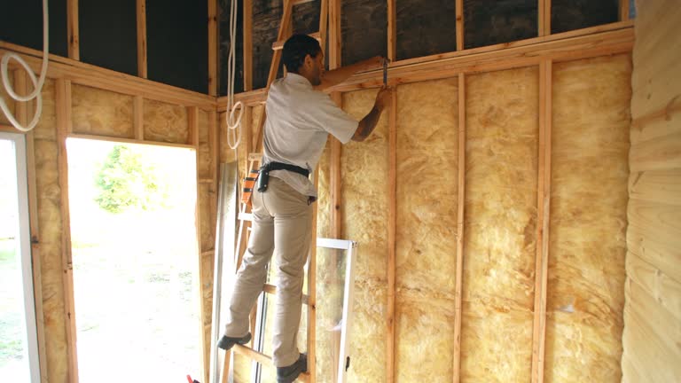 Best Spray Foam Insulation  in Poplar Bluff, MO